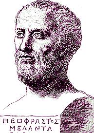 theophra.jpg (20030 bytes)